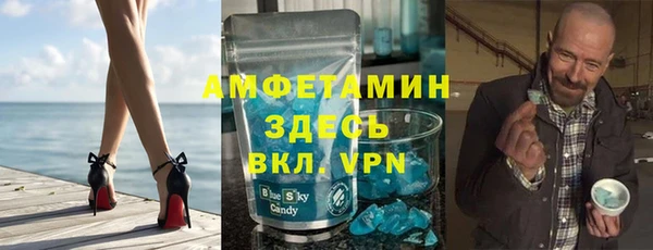 стаф Алзамай