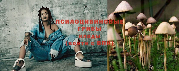 ешки Алексин