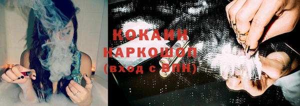 ешки Алексин