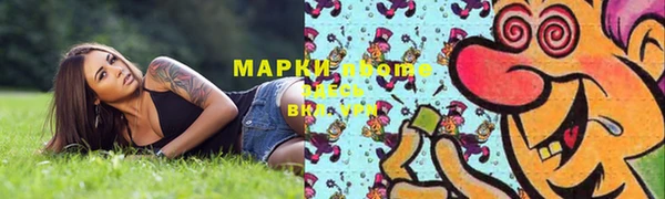 стаф Алзамай