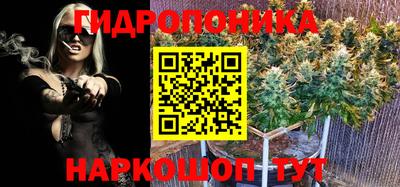 спайс Краснознаменск