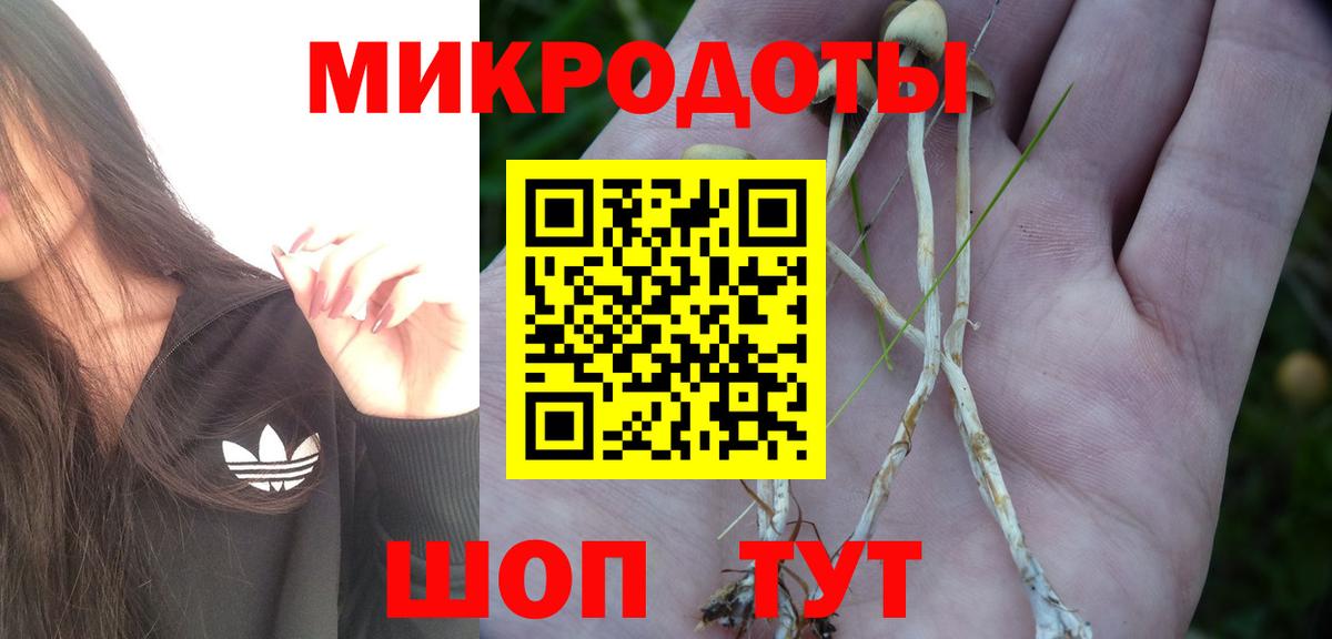 Кохма  Галлюциногенные грибы Psilocybe  наркота  Вход с VPN  Галлюциногенные грибы GOLDEN TEACHER 
